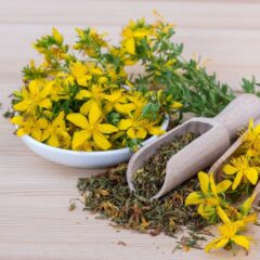 saint john's wort, flowers, tea-5938314.jpg