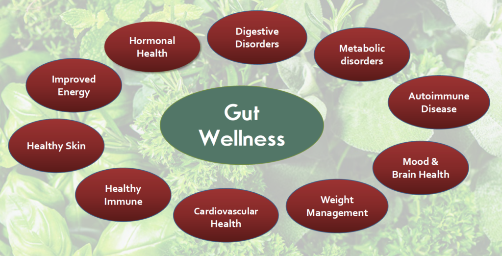 gut wellness benefits