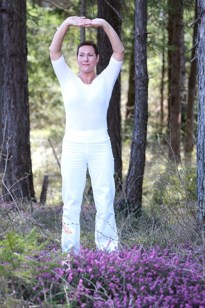 qi-gong, calmly, qigong-1989812.jpg